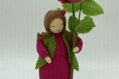 S-Rose-220615-031