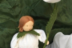 Christrose-2